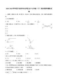 2024-2025学年四川省泸州市泸县五中七年级（下）期末数学模拟试卷-自定义类型