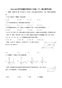 2024-2025学年西藏日喀则市八年级（下）期末数学试卷-自定义类型
