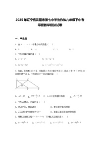 2025年辽宁省沈阳市第七中学协作体九年级下中考零模数学模拟试卷（含答案解析）
