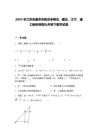 2025年江苏省南京市联合体栖霞、雨花、江宁、浦口模拟预测九年级下数学试题(含答案解析)