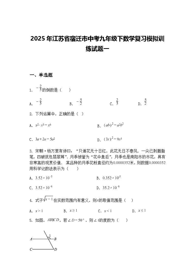 2025年江苏省宿迁市中考九年级下数学复习模拟训练试题一(含答案解析)第1页