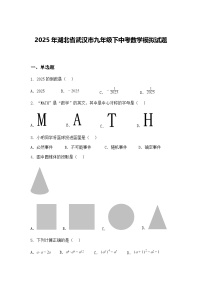 2025年湖北省武汉市九年级下中考数学模拟试题（含答案解析）