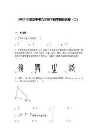 2025年重庆中考九年级下数学模拟试卷（二）（含答案解析）