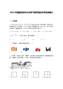 2025年福建省初中九年级下数学模拟中考仿真卷④（含答案解析）