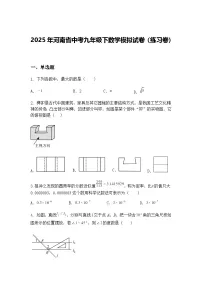 2025年河南省中考九年级下数学模拟试卷(练习卷)(含答案解析)