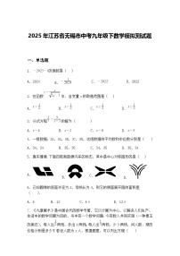 2025年江苏省无锡市中考九年级下数学模拟测试题（含答案解析）