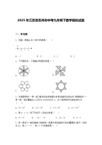 2025年江苏省苏州市中考九年级下数学模拟试题（含答案解析）