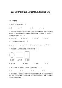 2025年云南省中考九年级下数学模拟试卷（3）（含答案解析）