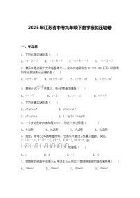 2025年江苏省中考九年级下数学模拟压轴卷（含答案解析）