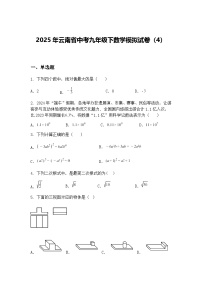 2025年云南省中考九年级下数学模拟试卷（4）（含答案解析）