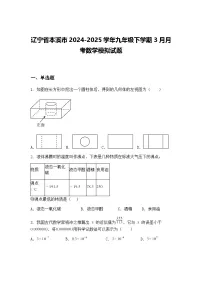 辽宁省本溪市2024-2025学年九年级下学期3月月考数学模拟试题（含答案解析）