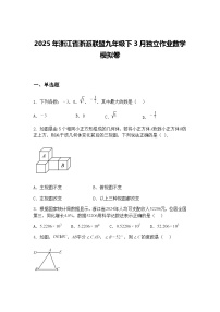 2025年浙江省浙派联盟九年级下3月独立作业数学模拟卷（含答案解析）