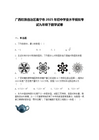 广西壮族自治区南宁市2025年初中学业水平模拟考试九年级下数学试卷（含答案解析）