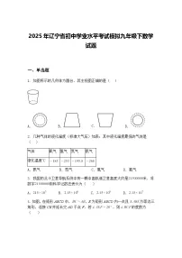 2025年辽宁省初中学业水平考试模拟九年级下数学试题（含答案解析）