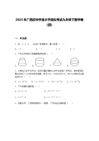 2025年广西初中学业水平模拟考试九年级下数学卷（四）（含答案解析）