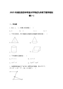 2025年湖北省初中学业水平考试九年级下数学模拟卷(一)（含答案解析）