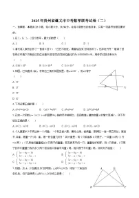 2025年贵州省遵义市中考数学联考试卷（二）-自定义类型