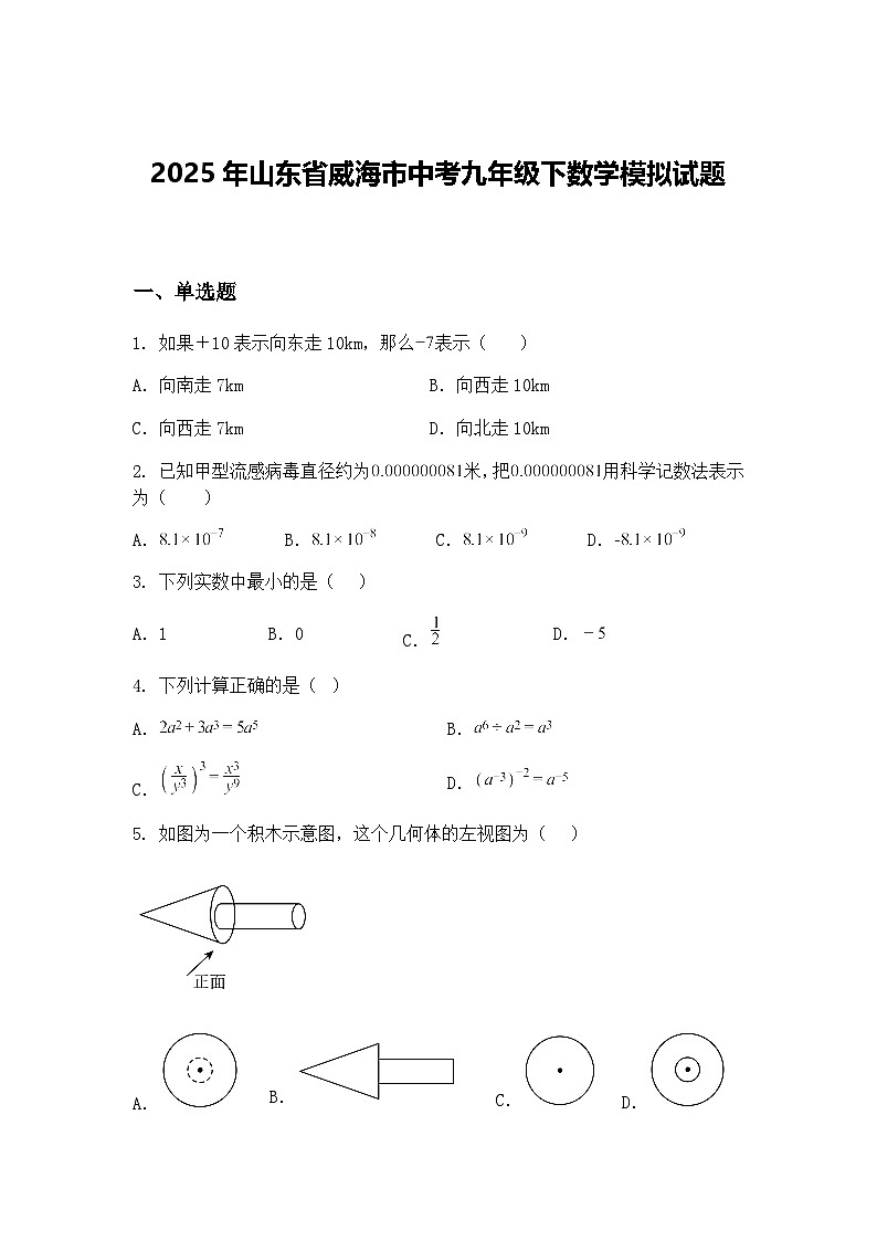 2025年山东省威海市中考九年级下数学模拟试题(含答案解析)第1页