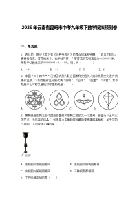 2025年云南省昆明市中考九年级下数学模拟预测卷（含答案解析）