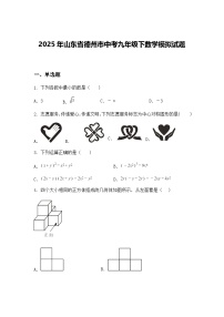 2025年山东省德州市中考九年级下数学模拟试题（含答案解析）