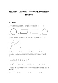 精品解析：（北京专用）2025年中考九年级下数学模拟卷(3)（含答案解析）