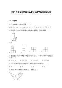 2025年山东省济南市中考九年级下数学模拟试题（含答案解析）