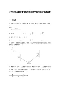 2025年河北省中考九年级下数学模拟摸底考试试卷（含答案解析）