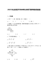 2025年山东省济宁市中考九年级下数学模拟测试题（含答案解析）