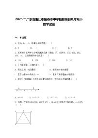 2025年广东省阳江市阳春市中考模拟预测九年级下数学试题（含答案解析）