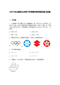 2025年山西省九年级下中考数学备考模拟练习试卷（含答案解析）