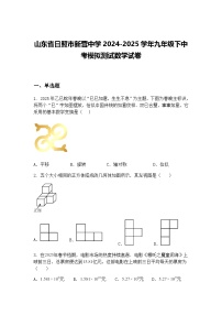 山东省日照市新营中学2024-2025学年九年级下中考模拟测试数学试卷（含答案解析）