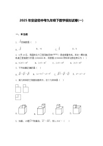 2025年安徽省中考九年级下数学模拟试卷(一)（含答案解析）