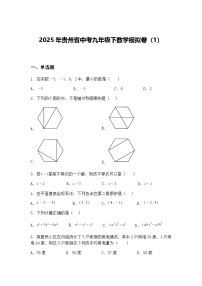 2025年贵州省中考九年级下数学模拟卷（1）（含答案解析）