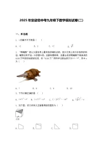 2025年安徽省中考九年级下数学模拟试卷(二)(含答案解析)