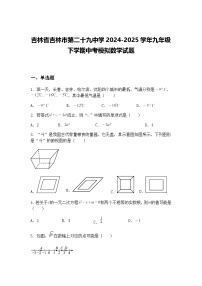 吉林省吉林市第二十九中学2024-2025学年九年级下学期中考模拟数学试题（含答案解析）