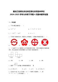 黑龙江省绥化市北林区绥化市实验中学校2024-2025学年九年级下学期4月期中数学试题（含答案解析）