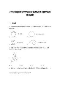 2025年北京市初中学业水平考试九年级下数学模拟练习试卷(含答案解析)