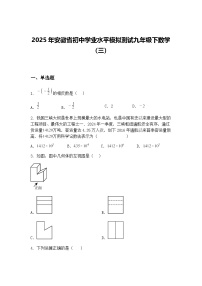2025年安徽省初中学业水平模拟测试九年级下数学（三）（含答案解析）