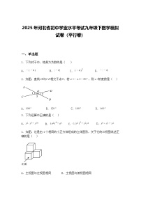2025年河北省初中学业水平考试九年级下数学模拟试卷（平行卷）（含答案解析）