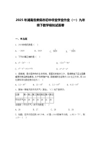 2025年湖南省娄底市初中毕业学业作业（一）九年级下数学模拟试题卷（含答案解析）