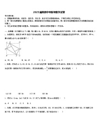 2025届嵩县中考联考数学试卷含解析