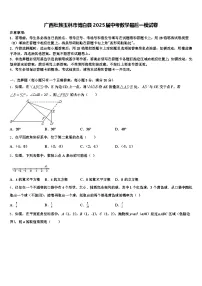 广西壮族玉林市博白县2025届中考数学最后一模试卷含解析