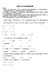 昌邑市2025年中考数学模试卷含解析