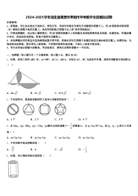 2024-2025学年湖北省襄樊市枣阳市中考数学全真模拟试卷含解析