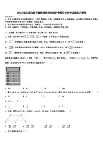 2025届玉溪市新平彝族傣族自治县初中数学毕业考试模拟冲刺卷含解析