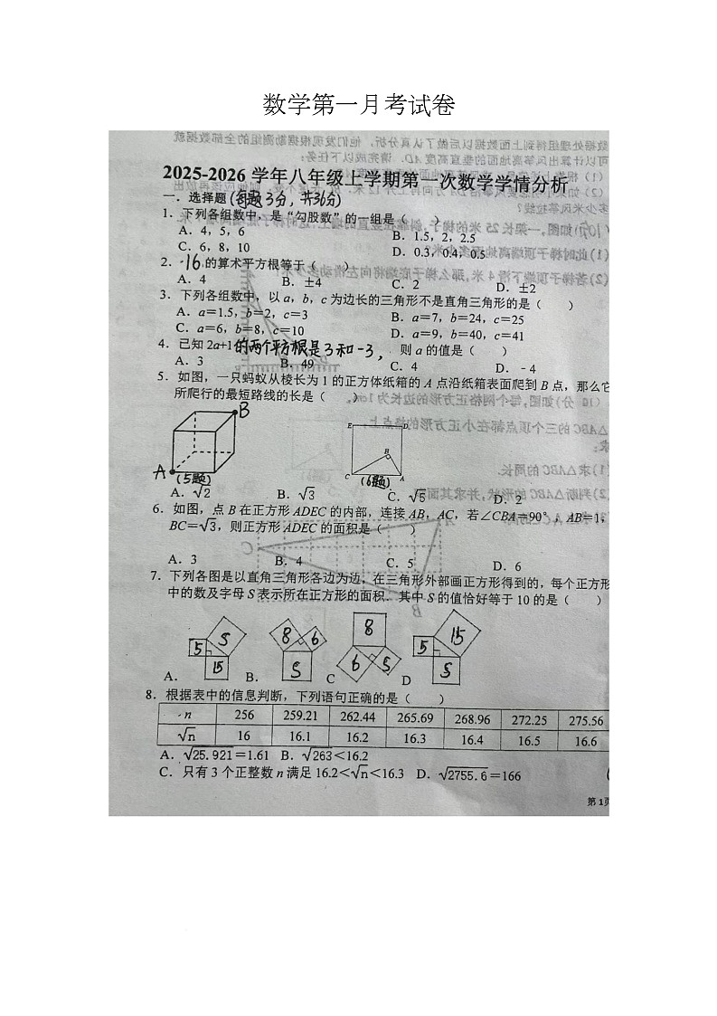河北省邯郸市肥乡区第三中学2025-2026学年八年级上学期10月月考数学试题第1页