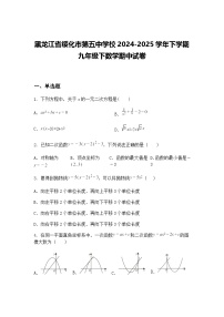 黑龙江省绥化市第五中学校2024-2025学年下学期九年级下数学期中试卷（含答案解析）