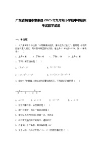 广东省揭阳市惠来县2025年九年级下学期中考模拟考试数学试题(含答案解析)