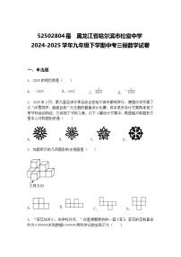 黑龙江省哈尔滨市松雷中学2024-2025学年九年级下学期中考三模数学试卷（含答案解析）