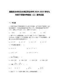 湖南省永州市冷水滩区李达中学2024-2025学年九年级下学期中考模拟（三）数学试题（含答案解析）